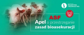 Ryzyko pojawienia si ASF – apel o przestrzeganie zasad bioasekuracji