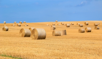 Usuwanie folii rolniczych – nowy nabr dla gmin