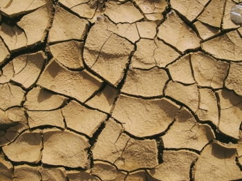 Komunikat odnonie wystpienia warunkw suszy w Polsce