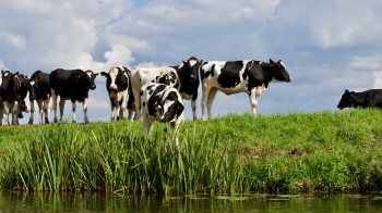 Rolnictwo ekologiczne – korzystne zmiany w zasadach