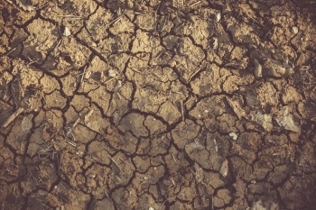 MRiRW informuje: termin na skadanie wnioskw o oszacowanie suszy w aplikacji „Zgo szkod rolnicz” wyduony