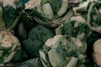 ARiMR przyjmuje wnioski o pomoc dla producentw kalafiorw i brokuw do 30 padziernika 2023